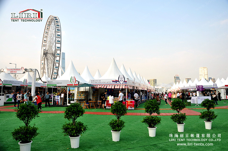 2015 Hongkong Red Wine festival (8)